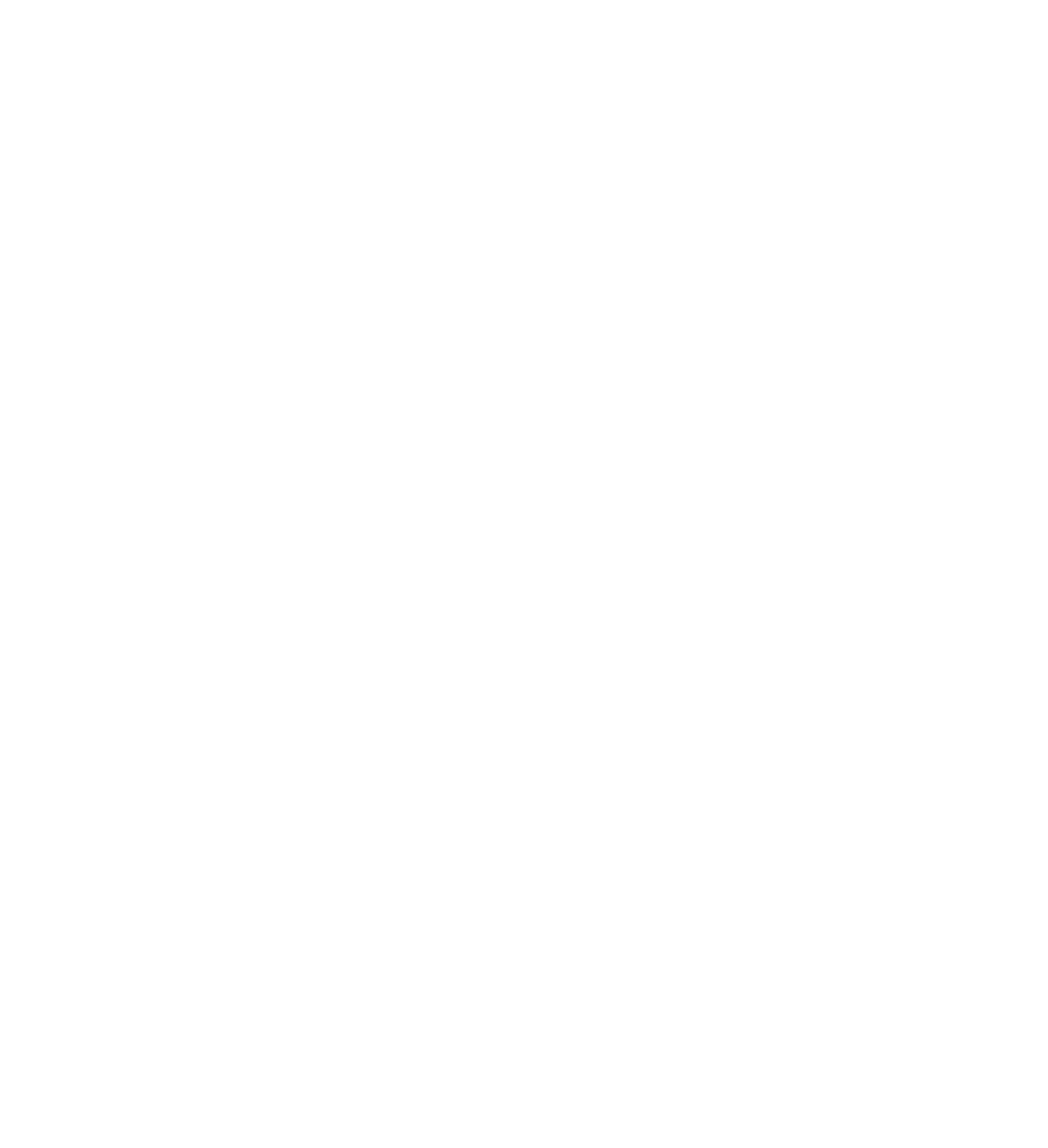 PhysioCert LogoMitClaim white